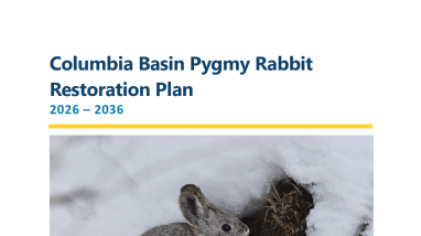 Pygmy Rabbit Restoration Plan 2026
