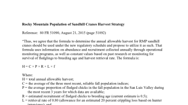 Rocky Mountain Population Sandhill Crane Harvest Strategy