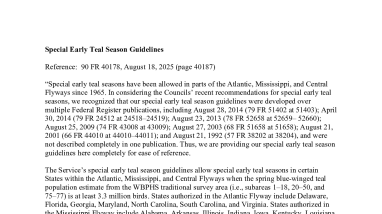 Special Early Teal Season Guidelines