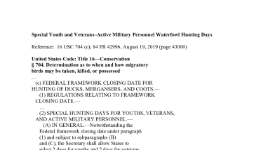 Special Youth and Veterans Waterfowl Seasons