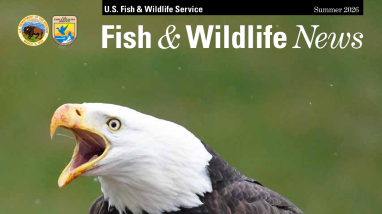 Summer 2026 Fish & Wildlife News