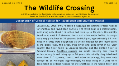 The Wildlife Crossing Volume 10