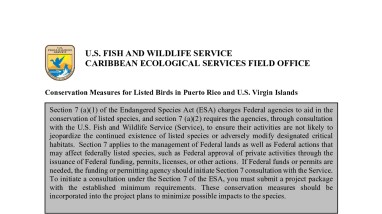 Conservation Measures for Puerto Rico and U.S. Virgin Islands birds