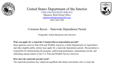 Common Raven Statewide Permit Frequently Asked Questions