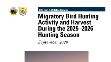 Migratory Bird Hunting Activity and Harvest during the 2025-26 Hunting Seasons