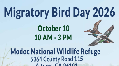 Modoc NWR's Migratory Bird Day 2026 Flyer