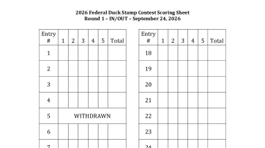 2026 Federal Duck Stamp Contest Score Sheets (Round 1, Round 2, and Final Round)