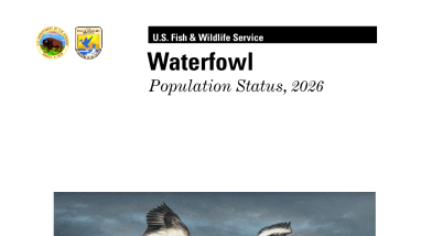Waterfowl Population Status, 2026