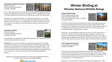 Wheeler NWR - Winter Birding Guide 2026