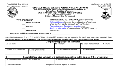 3-200-82 Application Bald Eagle or Golden Eagle Transport into the United States for Scientific or Exhibition Purposes