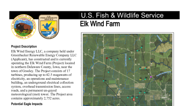 Elk Wind Eagle Take Permit Issuance Notification