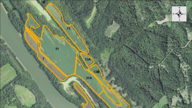 Cooperative Agriculture Opportunity at Cross Creeks National Wildlife Refuge - North