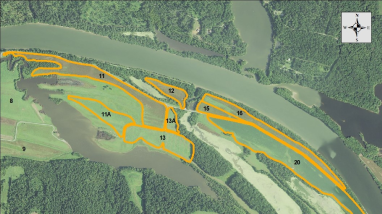 2026-2027 Cooperative Agriculture Opportunity at Cross Creeks National Wildlife Refuge
