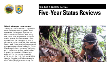 Five-Year Status Reviews under the Endangered Species Act