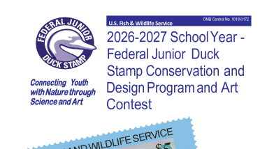 2026-2027 Junior Duck Stamp brochure, contest rules and regulations