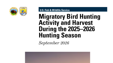 Migratory Bird Hunting Activity and Harvest during the 2025-26 Hunting Seasons