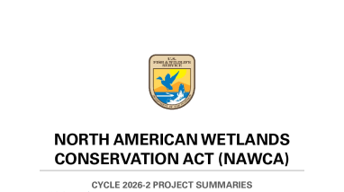North American Wetlands Conservation Act (NAWCA) Cycle 2026-2 Project Summaries