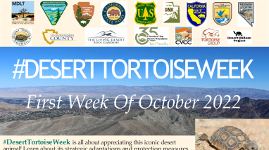 2022 Desert Tortoise Week Events