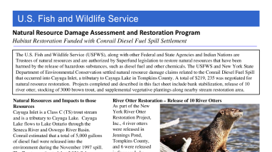 Conrail NRDA PDF