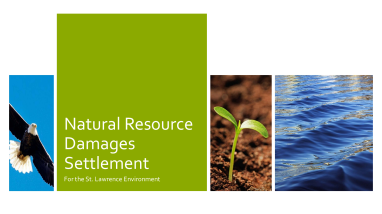 St. Lawrence Environment NRDA 2013 Presentation