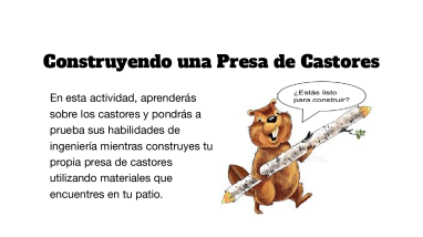 WWFD 2023 Construyendo una Presa de Castores