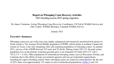 Annual_Report_Whooping_Crane_Recovery_2022_Aransas.pdf