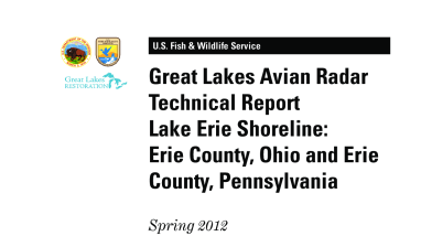 Technical Report Spring 2012