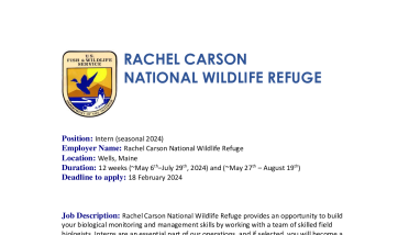 Rachel Carson NWR Avian Internships 2024