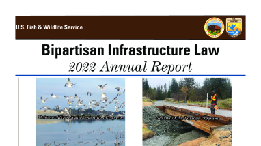 Bipartisan Infrastructure Law 2022 Annual Report