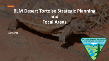 2022-04-26 (4b) BLM 1 Strategic Planning presentation