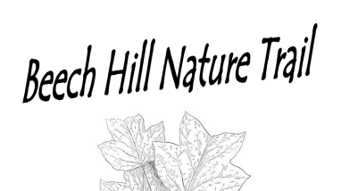 Savannah NWR-Beech Hill Trail Guide