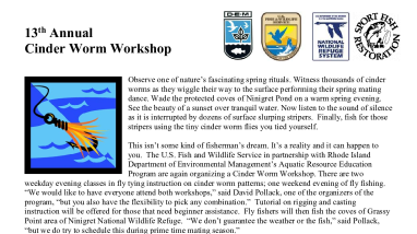 Cinder Worm Workshop 2022. Announcement.pdf