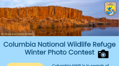 Columbia NWR Winter Photo Contest Flyer