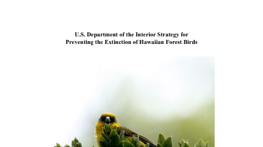 DOI Strategy for Preventing the Extinction of Hawaiian Forest Birds (508)