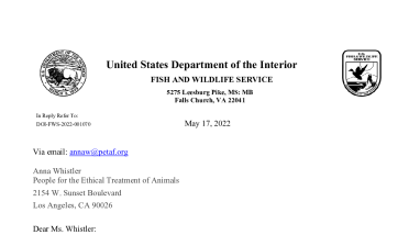 DOI-FWS-2022-0010070 Final Determination Letter