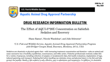 Drug Research Information Bulletin - The Effect of AQUI-S®20E Concentration on Sablefish Sedation and Recovery