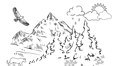 WWFD 2023 Ecosurvey Coloring Page (English)