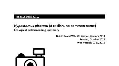 Ecological Risk Screening Summary - Hypostomus piratatu (a catfish, no common name) - Uncertain Risk