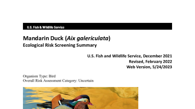 Ecological Risk Screening Summary - Mandarin Duck (Aix galericulata