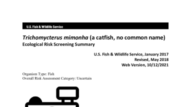 Ecological Risk Screening Summary - Trichomycterus mimonha (a catfish, no common name) - Uncertain Risk