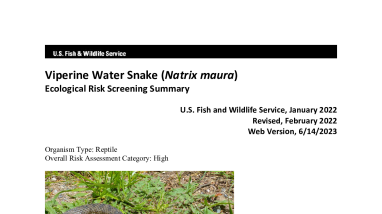 Ecological Risk Screening Summary - Viperine Water Snake (Natrix maura) - High Risk