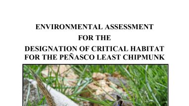 Draft Environmental Assessment for Designation of Critical Habitat for the Penasco Least Chipmunk