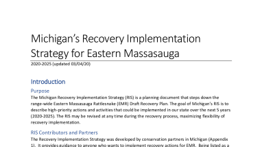 Michigan’s Recovery Implementation Strategy for Eastern Massasauga