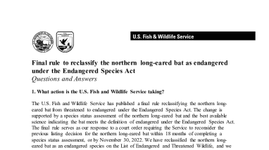Northern Long-Eared Bat Final Rule FAQ | FWS.gov