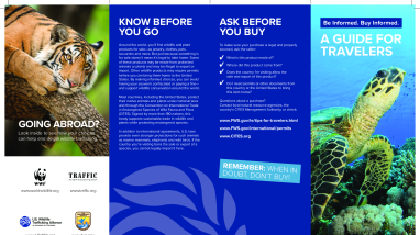 A Guide for Travelers