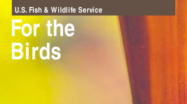 For The Birds Booklet