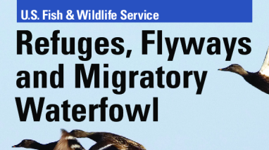 Refuges, Flyways & Migratory Waterfowl