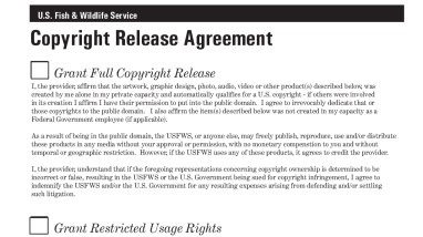 Copyright Release Agreement.pdf