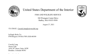FWS-2020-00399_11th Final Determination LTR.pdf