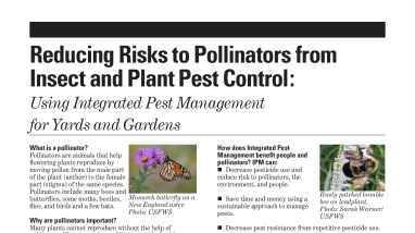 Reducing Risks to Pollinators from Insect and Plant Pest Control: Using Integrated Pest Management for Yards and Gardens